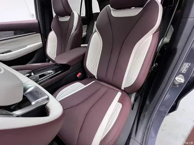 2024 Geely Xingyue L Model 2.0TD High-Power Automatic 2WD Cloudrise Edition, фото 4, лот 10302730