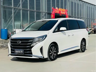 2021 GAC Trumpchi Trumpchi M8 Leading Show Series 390T Premium Edition, фото 1, лот 10416454