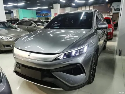 2025 BYD Song Pro New Energy 2nd Generation Smart Drive Edition DM-i 75KM Leading Type, фото 3, лот 10276837