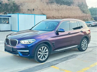 2020 BMW X3 xDrive25i Luxury Package, фото 1, лот 11102946