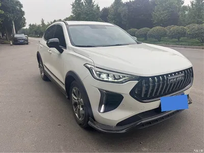 2022 Haval Chitu Power Edition 1.5T Purple Copper Rabbit, фото 2, лот 11437204