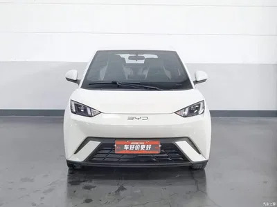 2024 BYD Seagull Glory Edition 405km Soaring Edition, фото 3, лот 10249912