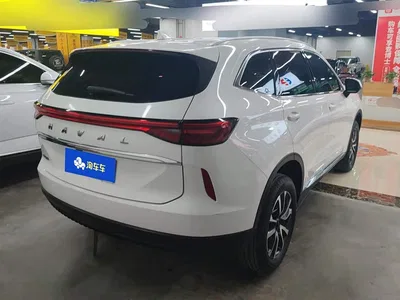 2021 Haval H6 3rd Gen 1.5T Auto 2WD Pro, фото 3, лот 11102675