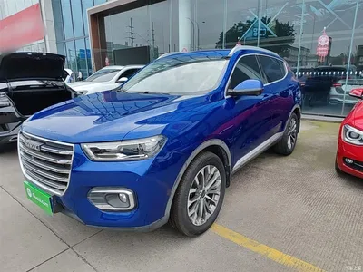 2020 Haval H6 1.5GDIT Automatic Platinum Champion Edition, фото 1, лот 10286935
