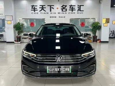 2022 Volkswagen Magotan GTE Plug-in Hybrid GTE Luxury, фото 2, лот 10474813