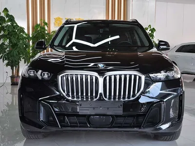 2023 BMW X5 xDrive 30Li Premium M Sport Black Night Package, фото 2, лот 10764896