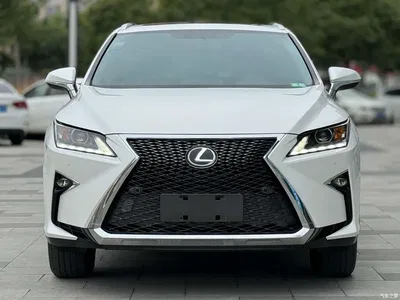 2016 Lexus RX 300 2WD Elite Edition (China V), фото 2, лот 10313107