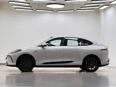 2023 IM Motors IM LS6 Max Ultra Performance Edition, фото 4, лот 10823187