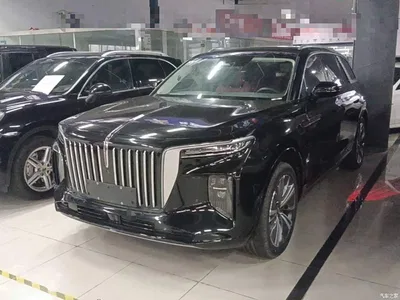2021 Hongqi E-HS9 510km Flagship Comfort 6-seater, фото 2, лот 10289649