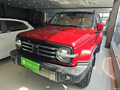 2021 Tank 300 Urban Edition 2.0T Stylish, фото 2, лот 10345618