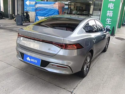 2023 BYD Qin PLUS Champion Edition DM-i 55KM Leading, фото 3, лот 10363526