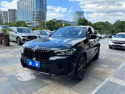 2023 BMW X3 xDrive30i Leading M Night Package, фото 1, лот 10397226