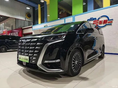 2024 Denza D9 DM-i 980 AWD Premium, фото 1, лот 10356566