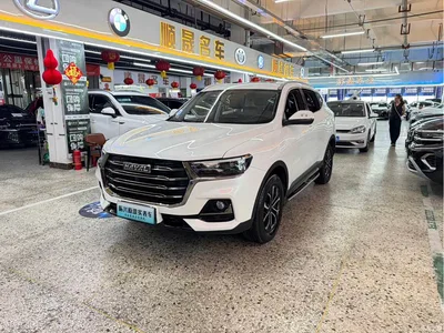 2021 Haval H6 National Trend Edition 1.5T Automatic Urban Edition, фото 1, лот 10283514