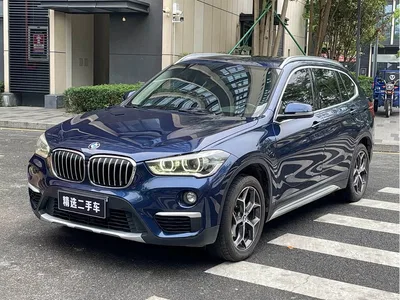 2018 BMW X1 sDrive18Li Premium Model, фото 1, лот 10466817