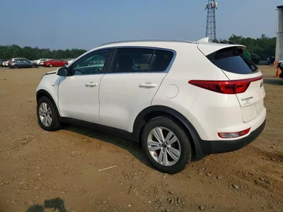 2019 KIA SPORTAGE LX, фото 2, лот 10776118