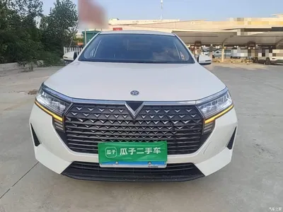 2023 Venucia D60 PLUS 1.6L XL CVT Joy Leader Edition, фото 3, лот 11153633