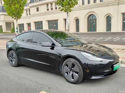 2022 Tesla Model 3 Model Rear-Wheel Drive Version, фото 3, лот 11218647