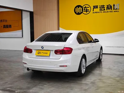 2017 BMW 3 Series 318i Fashion, фото 4, лот 10481472