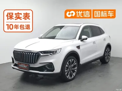 2019 Hongqi HS5 2.0T Intelligent Flagship 4WD Version, фото 1, лот 11205902