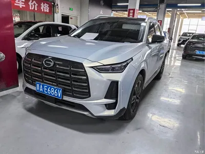 2024 GAC Trumpchi Trumpchi GS4 MAX 1.5T Pilot Edition, фото 1, лот 10415888