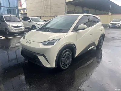 2024 BYD Seagull Glory Edition 305km Vitality Edition, фото 1, лот 10257305