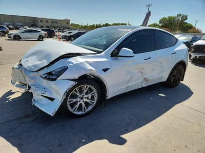 2023 TESLA MODEL Y, фото 1, лот 10854226