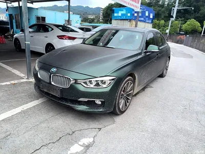 2019 BMW 3 Series 320Li Fashion Type, фото 1, лот 10816823