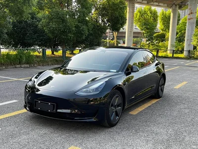 2023 Tesla Model 3 Rear-Wheel Drive, фото 1, лот 11081052