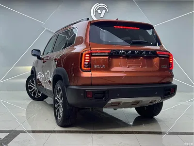 2021 Haval Big Dog 1.5T DCT 2WD Malinois - Wangcai Edition, фото 4, лот 10361722