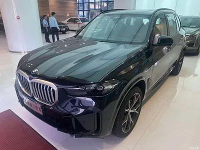 2025 BMW X5 Model xDrive 30Li Exclusive M Sport Blackout Package, фото 1, лот 10662234