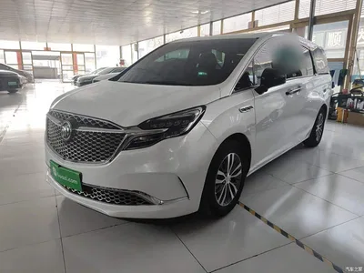 2022 Buick GL8 ES Landmark 653T Comfort, фото 2, лот 10262250