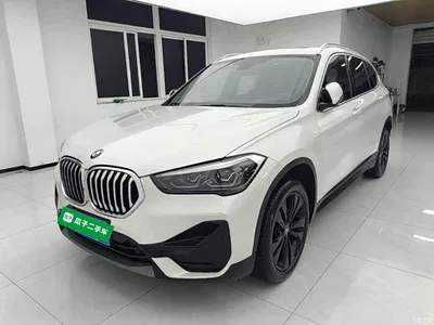 2020 BMW X1 sDrive20Li Fashion Model, фото 2, лот 11468519