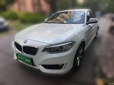 2014 BMW 2 Series (Import) 220i Leading, фото 1, лот 11249051