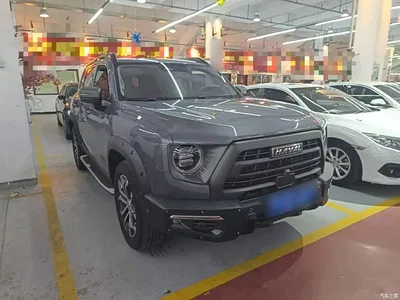 2022 Haval Big Dog 1.5T DCT 2WD Malinois Hunting Edition, фото 4, лот 10361485