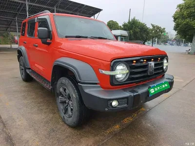 2021 Tank 300 Off-road Version 2.0T Conqueror, фото 4, лот 11241264
