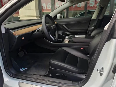 2020 Tesla Model 3 Standard Range Rear-Wheel Drive Upgrade, фото 3, лот 10368392