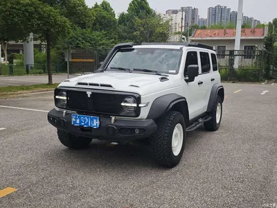 2023 Tank 300 2.0T Iron Cavalry 02, фото 1, лот 11088532