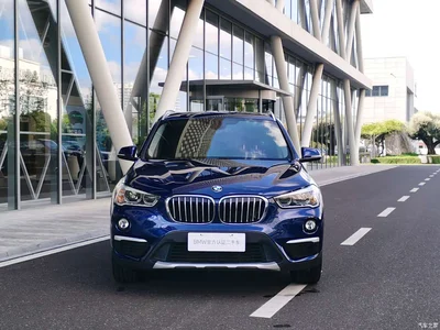 2019 BMW X1 xDrive20Li Premium Model, фото 2, лот 10421949