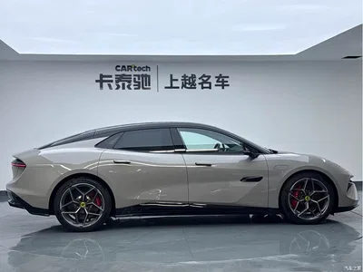 2025 Lotus Cars EMEYA Blossom 600 Luxury, фото 4, лот 11155361
