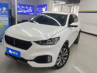 2018 WEY VV6 2.0T 2WD Super Luxury China V, фото 1, лот 11011404