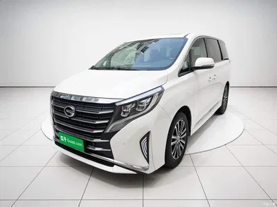 2021 GAC Trumpchi Trumpchi M8 Leading Show Series 390T Prestige Edition, фото 2, лот 11218640