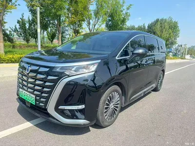 2024 Denza D9 DM-i 980 AWD Prestige, фото 1, лот 10346343