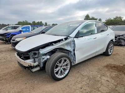 2024 TESLA MODEL Y, фото 1, лот 10854524