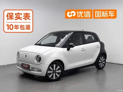 2021 Ora Black Cat 351km Luxury Model, фото 1, лот 10332221