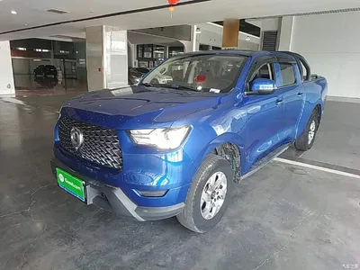 2021 Great Wall Pao 2.0T Commercial Edition Automatic Diesel 2WD Elite Long Box GW4D20M, фото 1, лот 10248921