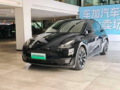 2021 Tesla Model Y Standard Range Rear-Wheel Drive, фото 1, лот 10894587