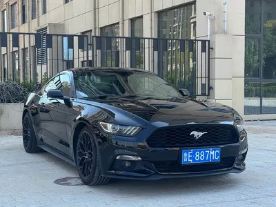 2017 Ford Mustang 2.3T Sport Edition, фото 3, лот 10294686