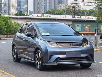 2024 BYD Dolphin Glory Edition 401km Knight Edition, фото 3, лот 11566243