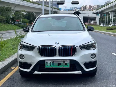 2018 BMW X1 New Energy xDrive25Le Luxury Model, фото 2, лот 11571416